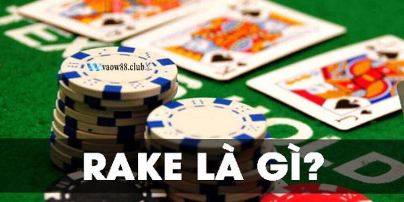 Rake Poker là gì và cách để trở thành một cược thủ thông minh