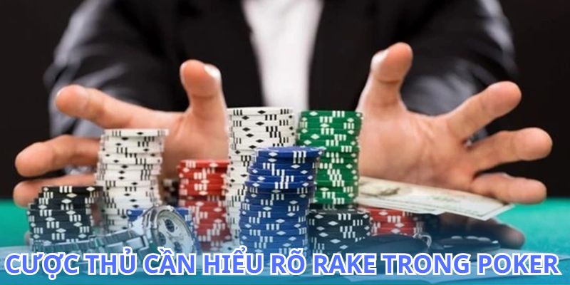 Rake Poker là gì và hướng dẫn chi tiết cách tránh bị mất nhiều tiền