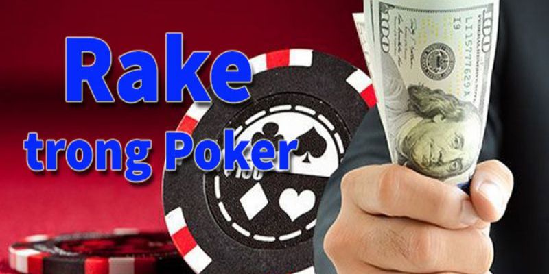 Rake Poker là gì và những điều bạn cần biết trước khi tham gia